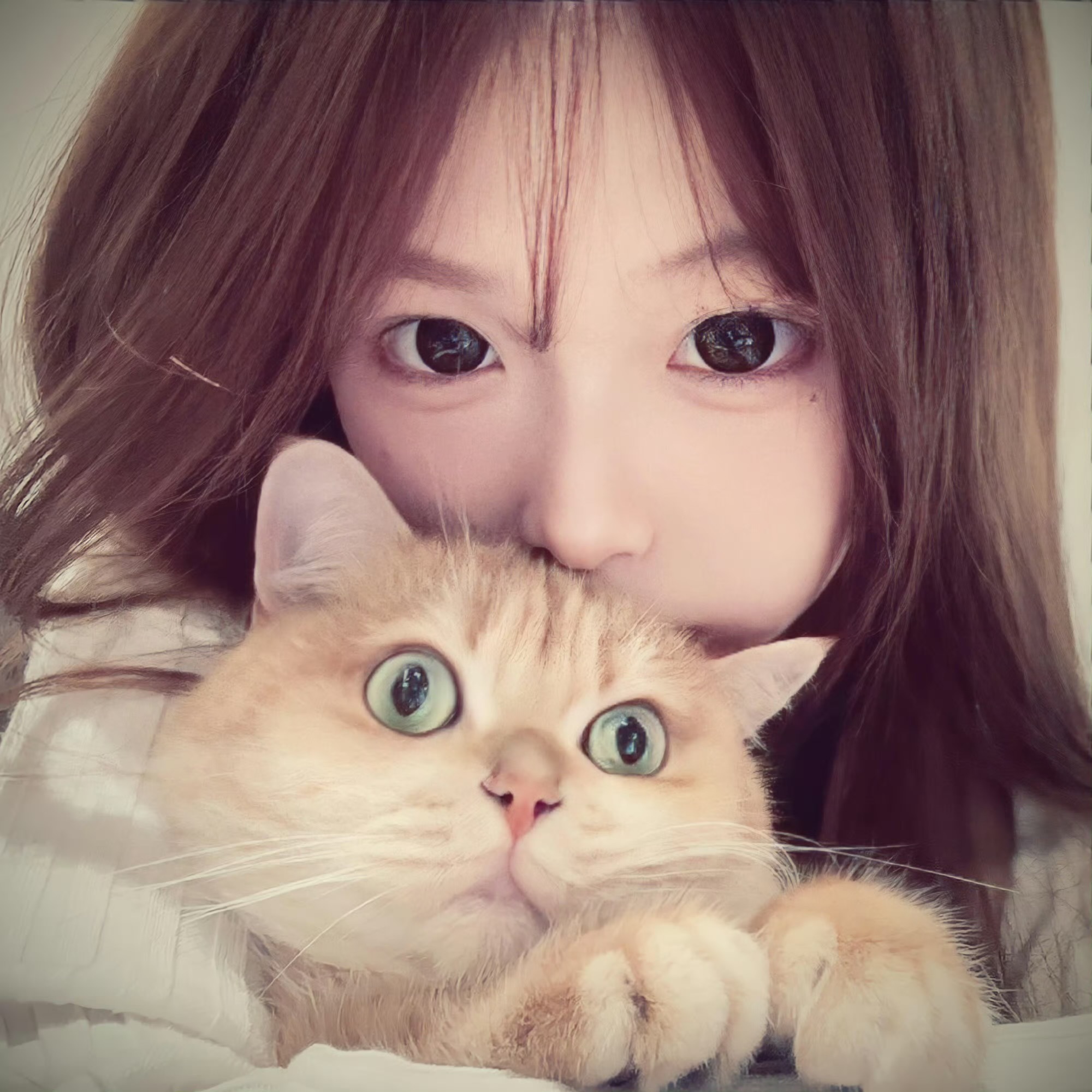 北京伴游女生芸馨的资料