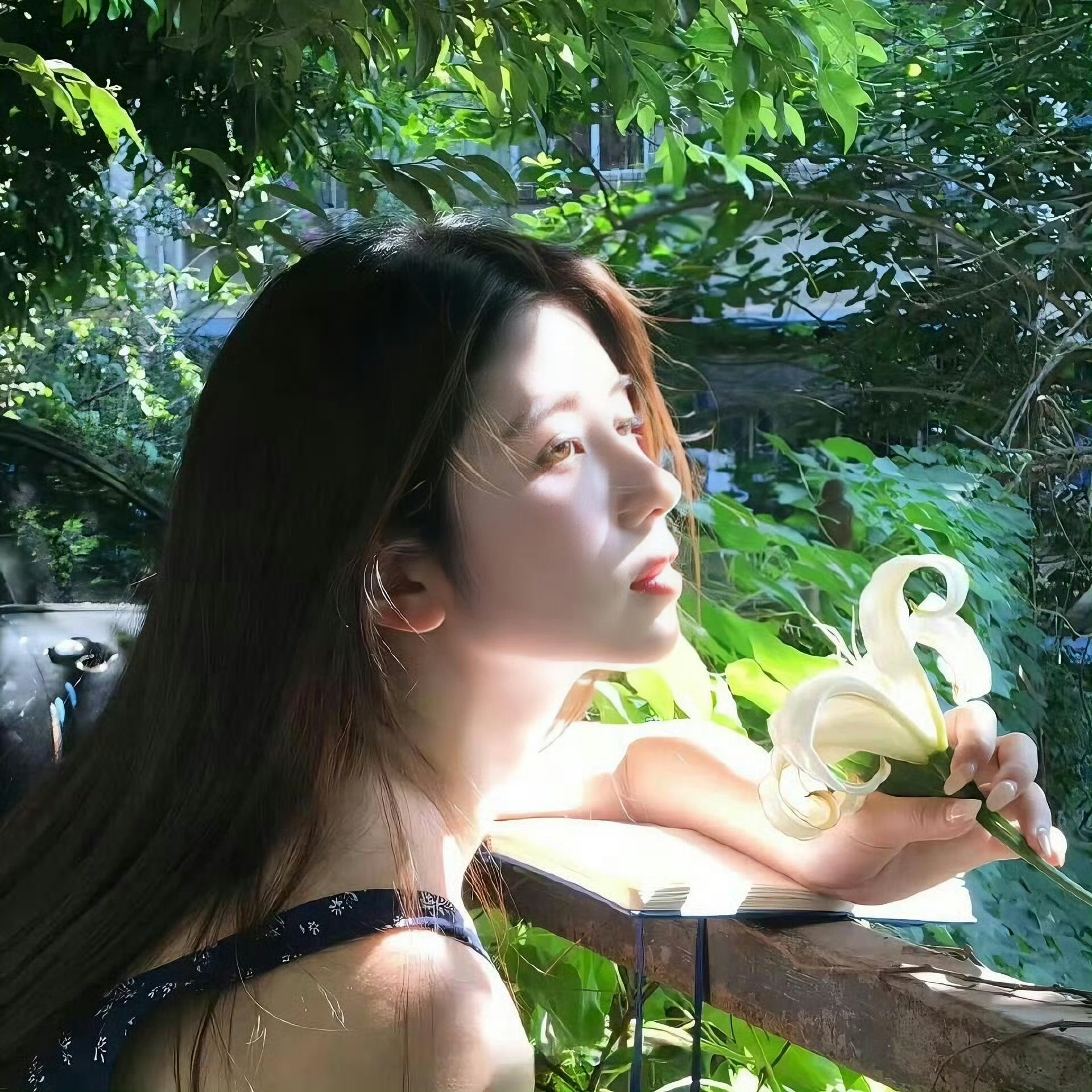 玉溪伴游女生江芝的资料